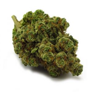 Chiquita Banana Strain