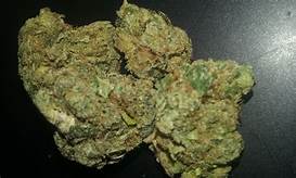 Sour Diesel Strain