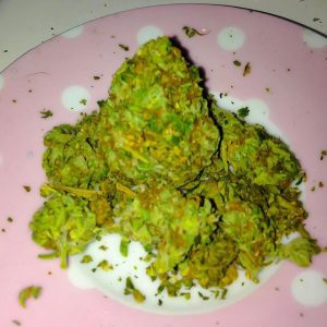 Jack Herer Kush