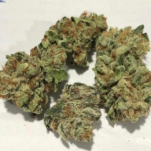 Skunk Hybrid